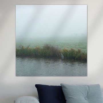Serene landscape in the fog
