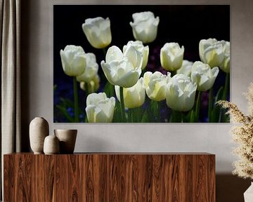 Witte tulpen van Ulrike Leone