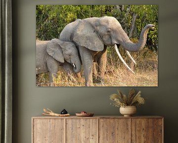 olifant met kalf, Uganda van Jan Fritz