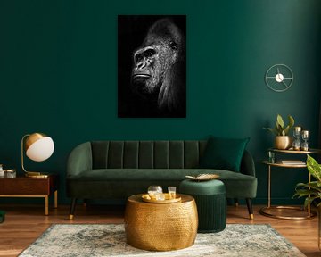Ein kräftiger männlicher Gorilla mit dicken Lippen sieht im Profil auf einem schwarzen Hintergrund u von Michael Semenov