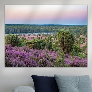 Lüneburger Heide, Totengrund