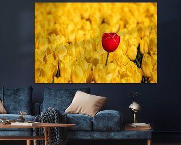 The red tulip in the yellow field by Adelheid Smitt