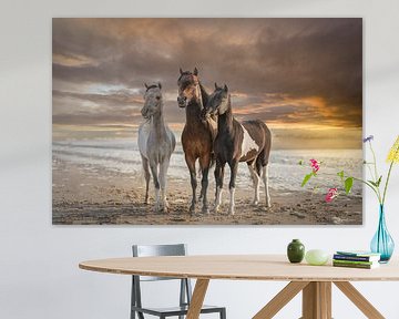 Paarden (3 hengsten) met ondergaande zon op het strand van ingrid schot