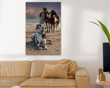 Drie mini hengsten en een Deense Dog op het strand. van ingrid schot