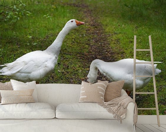 Raumvorschau