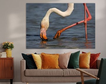 Flamingo in the Camargue by Antwan Janssen