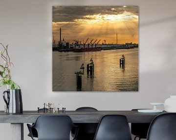 Sonnenuntergang über dem Europort Rotterdam: Ein Hafen in Bewegung von Jeroen Kleiberg