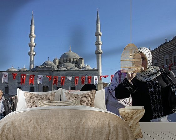 Aperçu de la chambre