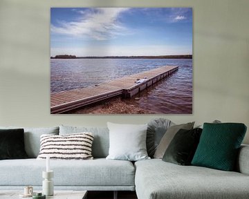 jetty at a lake at the Mecklenburg Lake District by Animaflora PicsStock