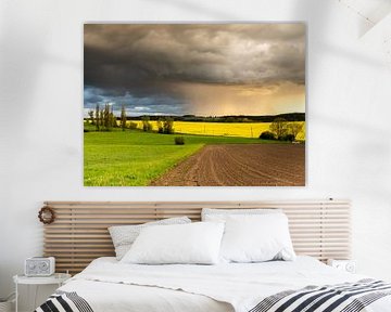 Colour play of the landscape in spring during a thunderstorm by Animaflora PicsStock