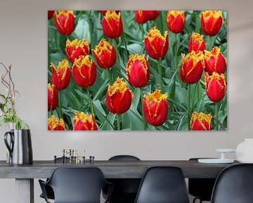 Tulpen in de Keukenhof van Antwan Janssen