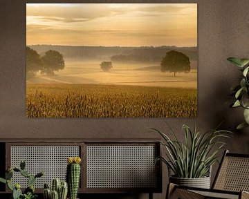 Gouden zonsopgang in Montferland: Een korenveld badend in warm licht van Jeroen Kleiberg