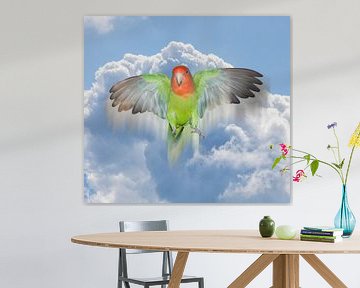 Angel lovebird by Bianca Wisseloo