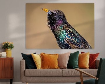 Singing Common Starling by Beschermingswerk voor aan uw muur