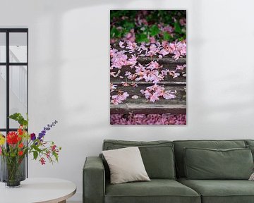Petals