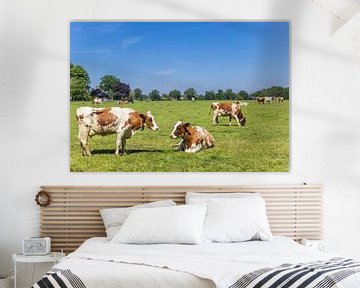 Holstein roodbont koeien in het landschap van Twente, Overijssel van Marc Venema