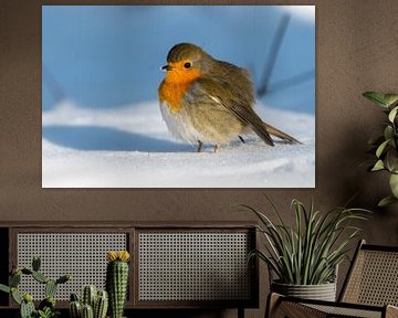 Roodborstje in de sneeuw van Diantha Risiglione