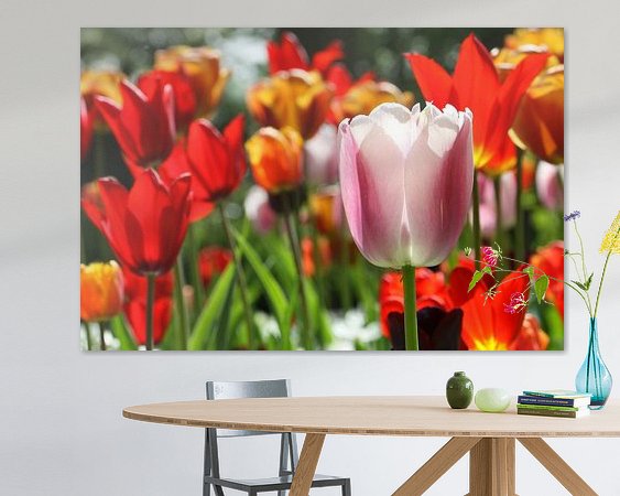 Aperçu de la chambre