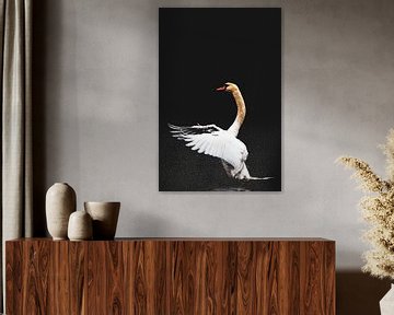 Swan Dance one color van Foto Studio Lyn Labie