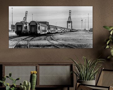 Trains shunted (black and white) by Remco Bosshard