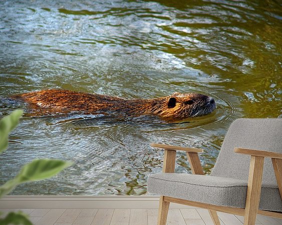 Raumvorschau