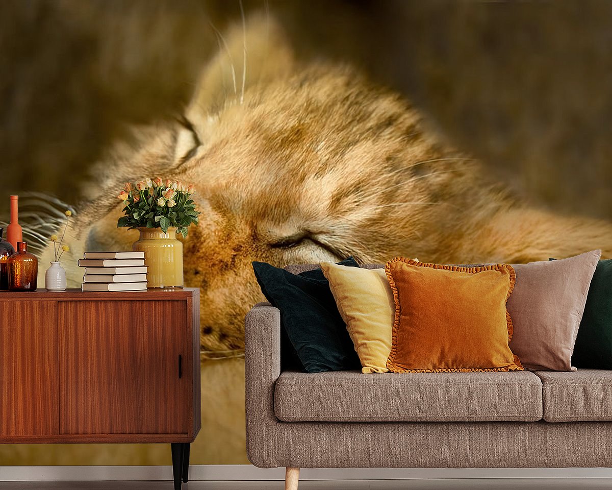 Raumvorschau
