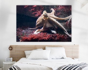 octopus in de zee van Babetts Bildergalerie