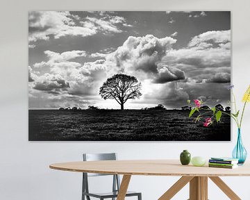 Tree in Meadow Highlight Black/White by Michiel ter Elst