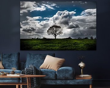 Tree in Meadow Highlight in Colour by Michiel ter Elst