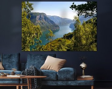 Vue depuis les hautes falaises sur le Aurlandsfjord en Norvège en été. sur Sjoerd van der Wal Photographie