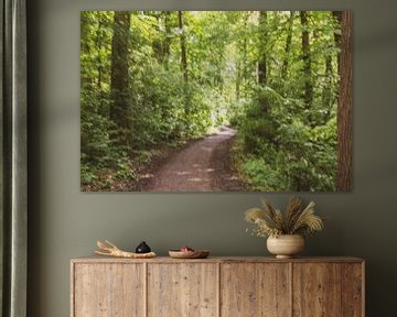 promenade abstraite en forêt sur Tania Perneel