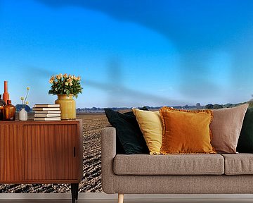 Feld bei Vilmnitz, Putbus, Rügen