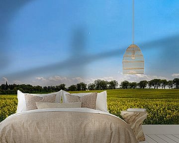 Rapsfeld bei Vilmnitz, Insel Rügen