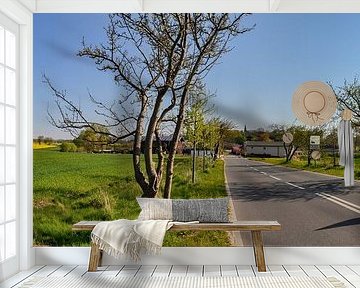 Rapsfeld, Vilmnitz, Insel Rügen