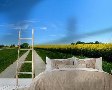 Plattenstraße, Rapsfeld nähe Puddemin auf Rügen