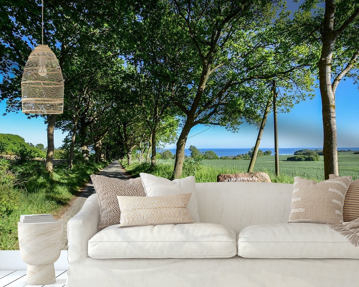 Raumvorschau