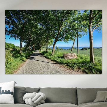 Groß Stresow Nähe Putbus, Rügen