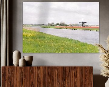 Molen in een tulpenveld aan het water | Typisch Nederlands landschap | Fotografie wall art  Holland van Milou van Ham