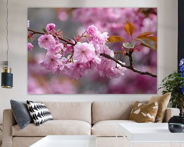 Japanische Kirschblüte von christine b-b müller