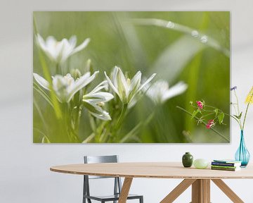 Dreamy white flowers with green by Janny Beimers