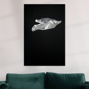 weiße Plastiktüte (Serie 2/2) von Mariska Vereijken