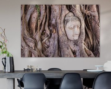 Buddha beeld in de Jungle van Sofie Bogaert