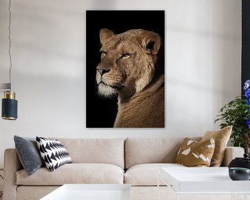 Löwen: Löwin Porträt