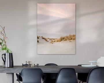 Ameland van Raisa Zwart