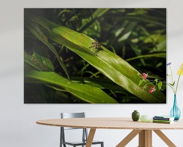 Fliege sitzt auf Dschungelblättern von pixxelmixx