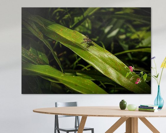 Raumvorschau