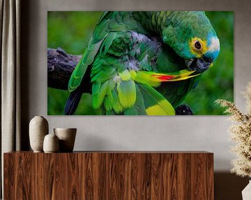 Close-up van een groene papegaai op een tak, zijn veren aan het verzorgen van pixxelmixx