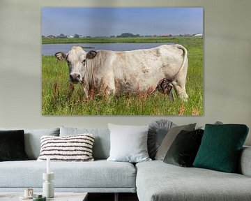 Witte piemontese koe in het landschap van Texel van Marc Venema