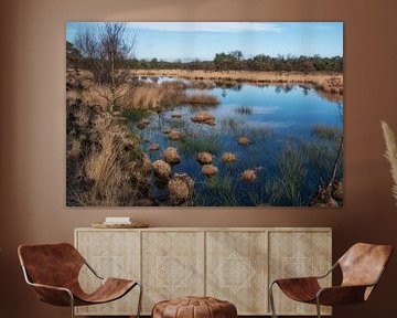 Pond by jacky weckx