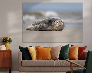 Seal by Willem Hoogsteen